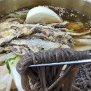 하기연진주냉면 | 부산 진주냉면 맛집 <하기연 진주냉면> 솔직 후기｜물냉면·물비빔냉면 추천