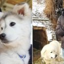 무지개다리 이미지