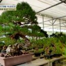 부자농장(정읍) 이미지