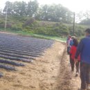 싱싱팜농장 이미지