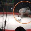 보스통신 이미지