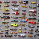 안성실내바다낚시터 이미지