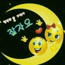 야행성 이미지