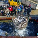 풍어민박 이미지