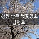 남면로-1 이미지