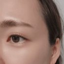브로우비비(Brow vivi)