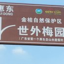 스와이 Daum카페