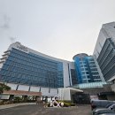 푸바오애견 | 인천 더위크앤리조트 스위트 펫룸 후기 [ 애견동반 / 오이도 영종도 추천 호텔 리조트 ]