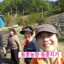 동훈농장 이미지