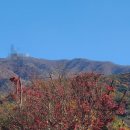 모악산도립공원 Daum카페
