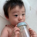 금천구 독산동 크로스핏 토스 독산점 초보 클린이의 한달차 내돈내산 후기