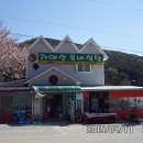 해미상가2 Daum카페