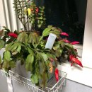 경남연합정형외과의원 이미지