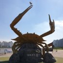 해오름광장 꽃게동상 이미지