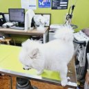 미래펫동물병원 이미지