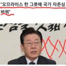 하대 Daum카페