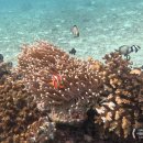 자유공간식당 | 보라카이 자유여행 화이트비치 스노쿨링 디몰 쇼핑 식당