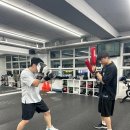 해운대 강남복싱클럽 이미지