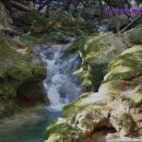 미소렌트카 이미지