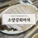 [한남동 존맛탱 횟집 추천] 한남 소양강회마차 후기(광어 회, 우럭 매운탕)