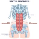 대세메디텍 이미지