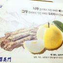 아리엘미문 이미지