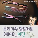 우리가족 헤어커트 이미지