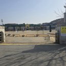 안면초등학교 이미지