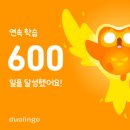 리와플하우스 | [Lv.125] 2026년 3월 9일부터 3월 22일 까지의 일상(하루 하루가 순식간에 지나가는 일상, 미동산수목원...
