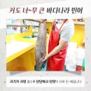 바다나라