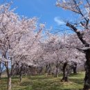 토끼와거북이펜션2 이미지