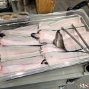 황제장어나라 이미지