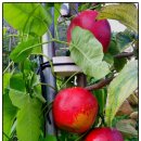 심성 농장 이미지