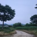 풍호나루터 노지 캠핑, 나주들섬 꽃길을 지나 여름의 문턱에서 하루를 머물다