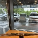 김해대로 | 스타벅스 김해대로DT점에서 스타벅스 투명 블랙 장우산 구입 후기