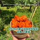 [성동/서울숲] 2026서울국제정원박람회 - 푸드 트럭 먹거리 소개 추천 위치