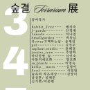 숲결 이미지