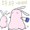 빕이디 밥이디 부 네이버블로그