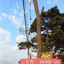 산동약수장 이미지