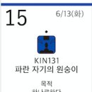 수정-131 이미지