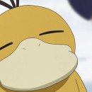 내가 만든 쿠키 이미지