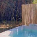 스테이 호꼼만 이미지