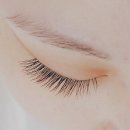 이신호 속눈썹 본점 | 서면 속눈썹연장 / 서면 속눈썹 ; 이신호 속눈썹 서면점 방문 후기