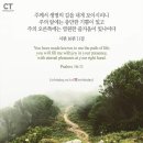 생명의 기쁨 이미지