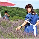 허브 원 이미지