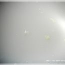 엄마순대국 이미지