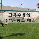 더 찬스 짐 이미지