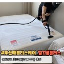 부산 침대 매트리스청소 업체 후기 깔끄룸플러스 진드기제거