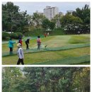 그린골프교실 이미지