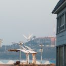 비응항PC 이미지